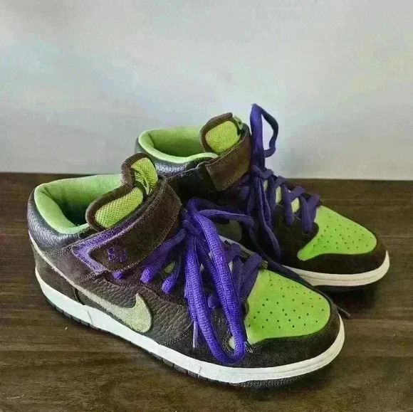 314383-231 Nike Dunks Donatello SB Baroque Brown/Radiant Green Sz 9 EUC - Picture 1 of 11
